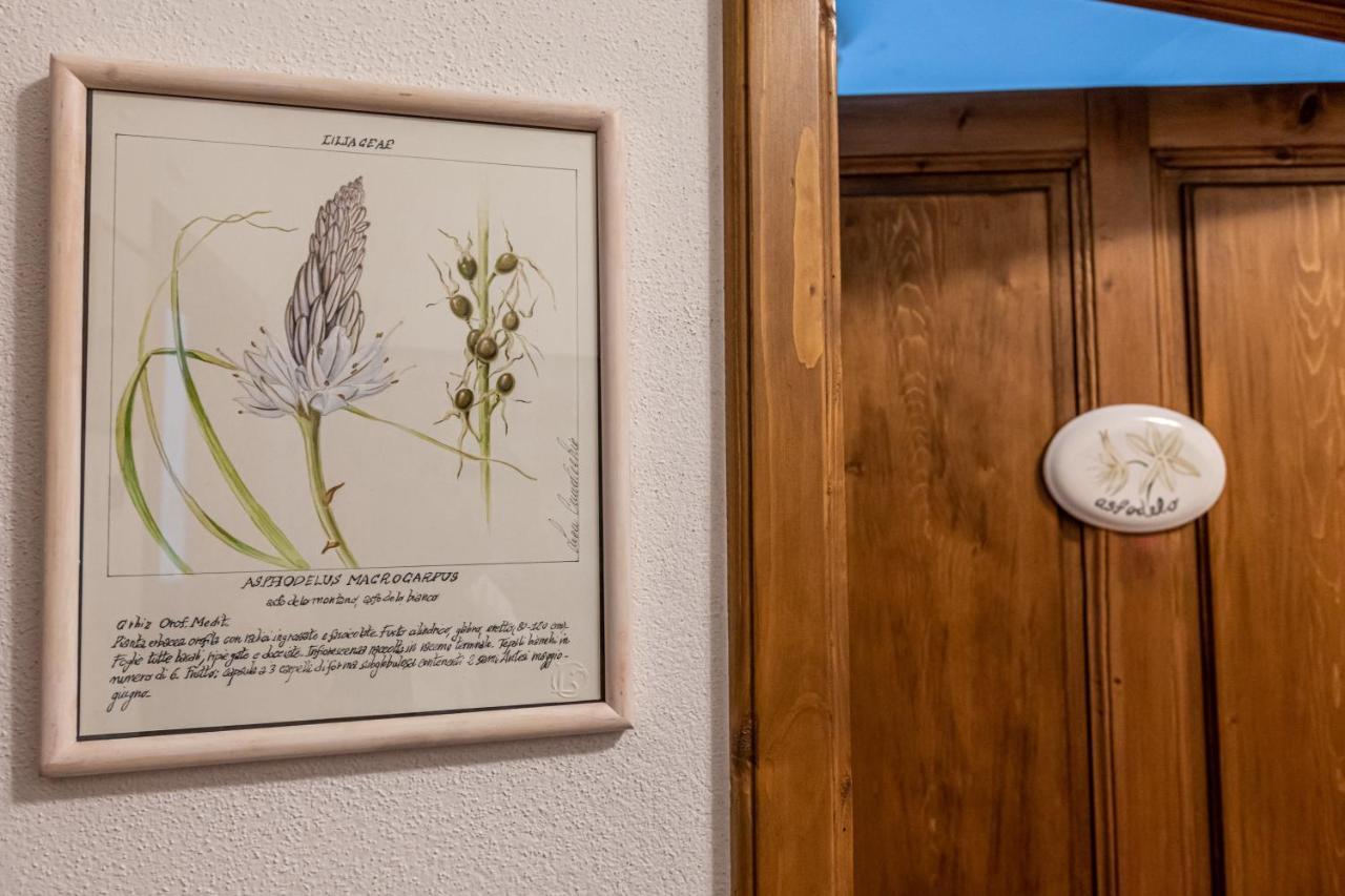 La Locanda Di Adele - Il Giardinetto B&B Scarperia Zewnętrze zdjęcie